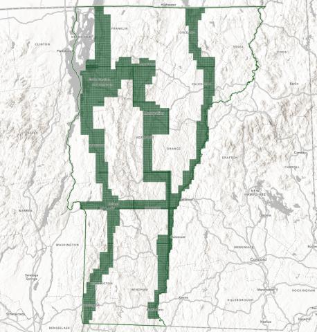 15cm 2023 Orthoimagery Index