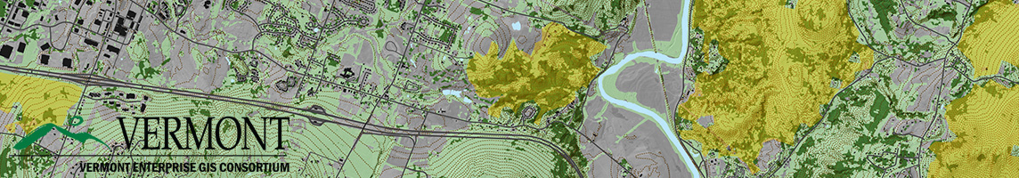 2023 Vermont GIS Service and Strategic Plan Update Survey  Vermont 